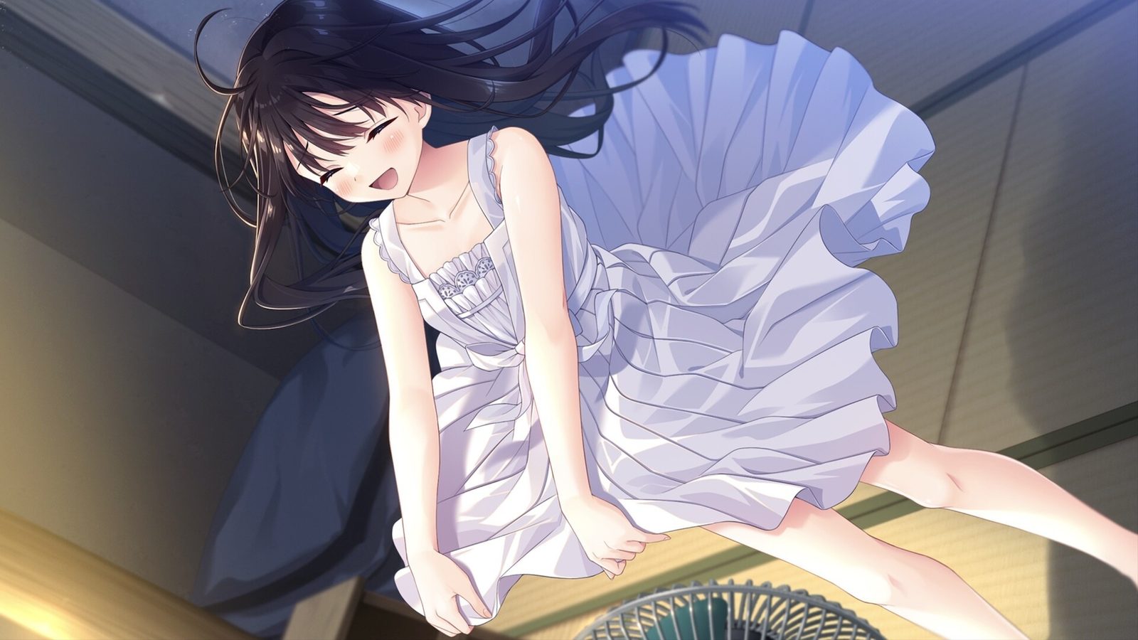 痴情哥哥与病弱妹妹的乡间生活DLC1 故事片段 资料图 8
